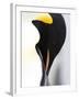 Emperor Penguin (Aptenodytes Forsteri), Snow Hill Island, Weddell Sea, Antarctica, Polar Regions-Thorsten Milse-Framed Photographic Print