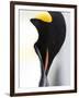 Emperor Penguin (Aptenodytes Forsteri), Snow Hill Island, Weddell Sea, Antarctica, Polar Regions-Thorsten Milse-Framed Photographic Print