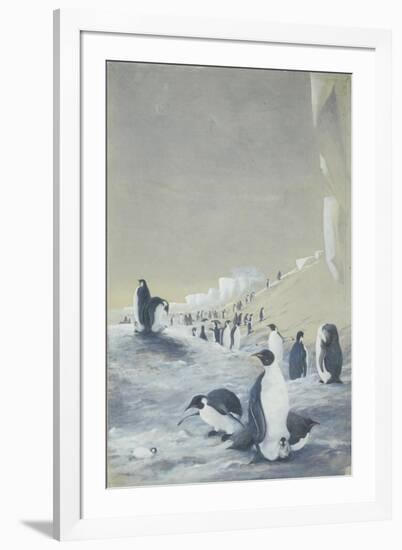 Emperor Penguin at Cape Crozier, Mar 28, 1911-Edward Adrian Wilson-Framed Giclee Print