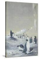 Emperor Penguin at Cape Crozier, Mar 28, 1911-Edward Adrian Wilson-Stretched Canvas