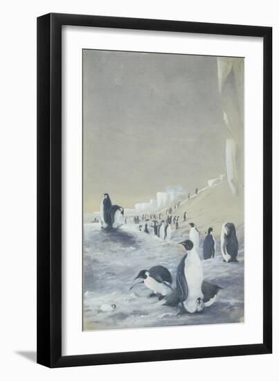 Emperor Penguin at Cape Crozier, Mar 28, 1911-Edward Adrian Wilson-Framed Premium Giclee Print