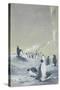 Emperor Penguin at Cape Crozier, Mar 28, 1911-Edward Adrian Wilson-Stretched Canvas