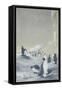 Emperor Penguin at Cape Crozier, Mar 28, 1911-Edward Adrian Wilson-Framed Stretched Canvas