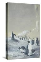 Emperor Penguin at Cape Crozier, Mar 28, 1911-Edward Adrian Wilson-Stretched Canvas