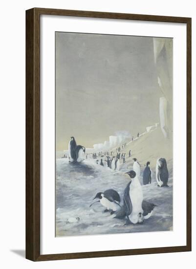 Emperor Penguin at Cape Crozier, Mar 28, 1911-Edward Adrian Wilson-Framed Giclee Print