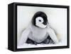 Emperor Penguin Chick (Aptenodytes Forsteri), Snow Hill Island, Weddell Sea, Antarctica-Thorsten Milse-Framed Stretched Canvas