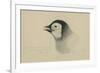 Emperor Penguin, Chick in Down, from Cape Crozier (Taken Alive), the Largest, Oct 1902-Edward Adrian Wilson-Framed Giclee Print