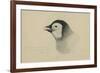 Emperor Penguin, Chick in Down, from Cape Crozier (Taken Alive), the Largest, Oct 1902-Edward Adrian Wilson-Framed Giclee Print