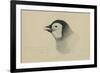 Emperor Penguin, Chick in Down, from Cape Crozier (Taken Alive), the Largest, Oct 1902-Edward Adrian Wilson-Framed Giclee Print