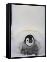 Emperor Penguin Chick on Mother's Feet-Paul Souders-Framed Stretched Canvas