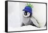 Emperor Penguin Chick Sheltering on Adult's Feet-null-Framed Stretched Canvas