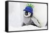 Emperor Penguin Chick Sheltering on Adult's Feet-null-Framed Stretched Canvas