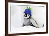 Emperor Penguin Chick Sheltering on Adult's Feet-null-Framed Photographic Print