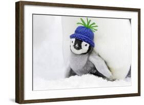 Emperor Penguin Chick Sheltering on Adult's Feet-null-Framed Photographic Print