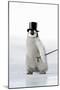 Emperor Penguin Chick Wearing Bowler Hat-null-Mounted Photographic Print