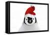 Emperor Penguin Chick Wearing Christmas Hat-null-Framed Stretched Canvas