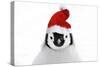 Emperor Penguin Chick Wearing Christmas Hat-null-Stretched Canvas