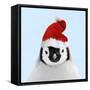 Emperor Penguin Chick Wearing Christmas Hat-null-Framed Stretched Canvas