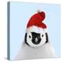 Emperor Penguin Chick Wearing Christmas Hat-null-Stretched Canvas