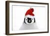 Emperor Penguin Chick Wearing Christmas Hat-null-Framed Photographic Print