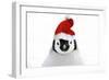 Emperor Penguin Chick Wearing Christmas Hat-null-Framed Photographic Print