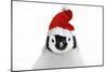 Emperor Penguin Chick Wearing Christmas Hat-null-Mounted Photographic Print