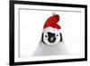 Emperor Penguin Chick Wearing Christmas Hat-null-Framed Photographic Print