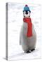 Emperor Penguin Chick Wearing Hat and Scarf-null-Stretched Canvas