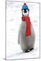 Emperor Penguin Chick Wearing Hat and Scarf-null-Mounted Photographic Print
