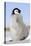 Emperor Penguin Chick-null-Stretched Canvas