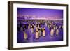 Emperor Penguin Colony in Twilight-null-Framed Photographic Print