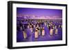 Emperor Penguin Colony in Twilight-null-Framed Photographic Print