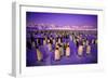Emperor Penguin Colony in Twilight-null-Framed Photographic Print