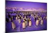 Emperor Penguin Colony in Twilight-null-Mounted Photographic Print