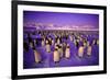 Emperor Penguin Colony in Twilight-null-Framed Photographic Print