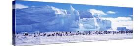 Emperor Penguin Colony, Ruser-Larsen Ice Shelf, Weddell Sea, Antarctica-null-Stretched Canvas
