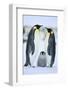 Emperor Penguin Family-DLILLC-Framed Photographic Print