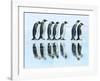 Emperor penguin group, Antarctica-Frank Krahmer-Framed Art Print