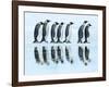 Emperor penguin group, Antarctica-Frank Krahmer-Framed Art Print