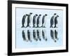 Emperor penguin group, Antarctica-Frank Krahmer-Framed Art Print