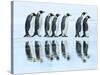 Emperor penguin group, Antarctica-Frank Krahmer-Stretched Canvas