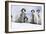 Emperor Penguin Group of Chicks-null-Framed Photographic Print