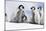 Emperor Penguin Group of Chicks-null-Mounted Photographic Print