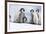 Emperor Penguin Group of Chicks-null-Framed Photographic Print