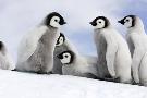 Just the Print