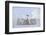 Emperor Penguin Guarding Young-DLILLC-Framed Photographic Print