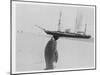 Emperor Penguin Near Expedition Ship-null-Mounted Photographic Print