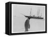 Emperor Penguin Near Expedition Ship-null-Framed Stretched Canvas