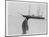 Emperor Penguin Near Expedition Ship-null-Mounted Photographic Print