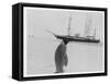 Emperor Penguin Near Expedition Ship-null-Framed Stretched Canvas